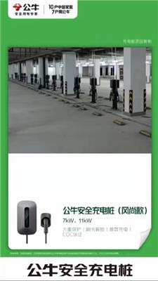 广东中山民众30KW公牛充电桩