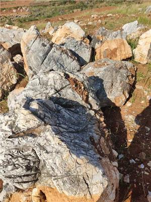 景观石龟纹石大型园林工程石适用于各类园林园景装饰