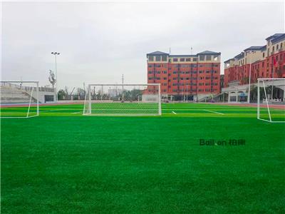 贵州附属学校人造足球草坪