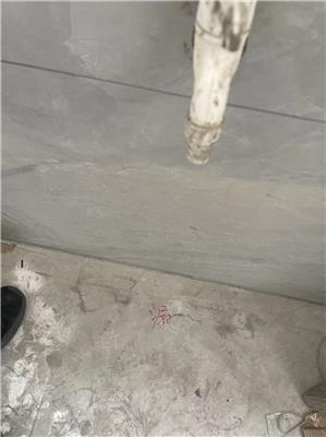 家里漏水了找专业测漏水的怎么收费 广州市内上门测漏公司
