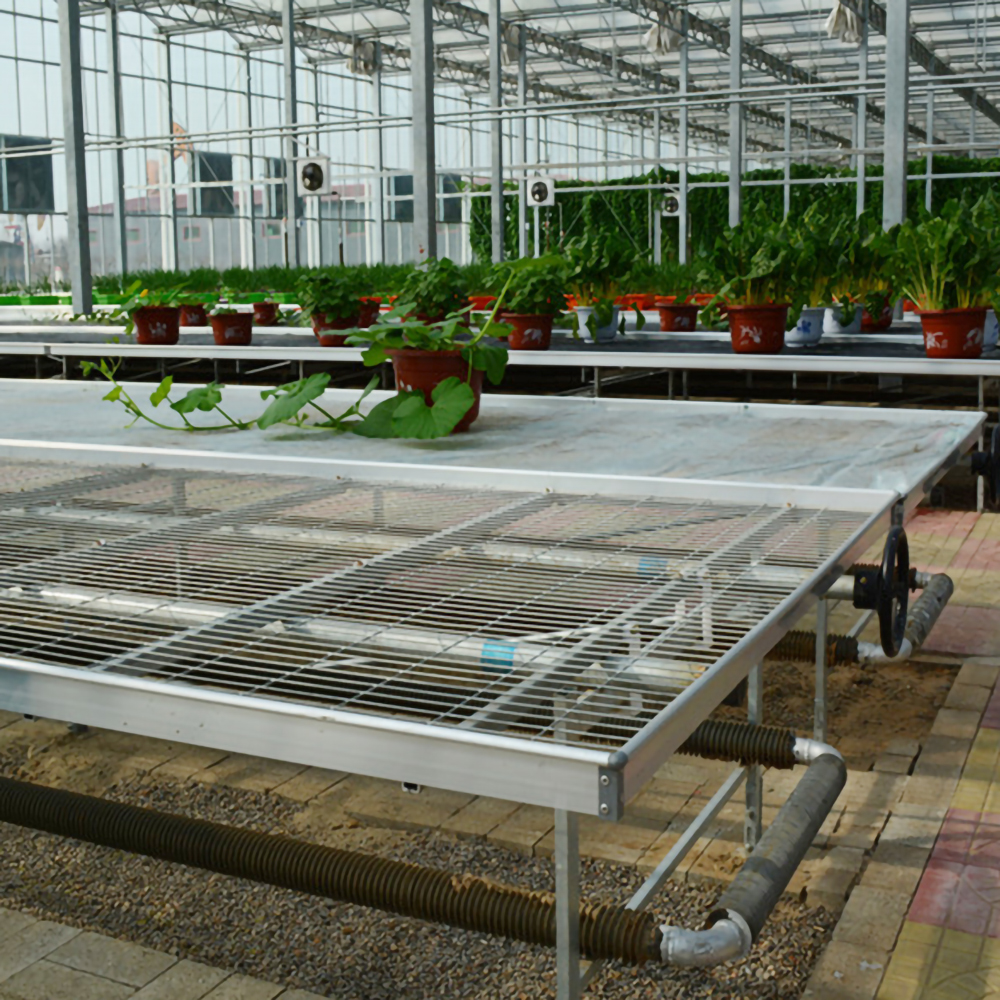 出口大棚温室货架种植床 可定制多层轨道苗床 方便快捷