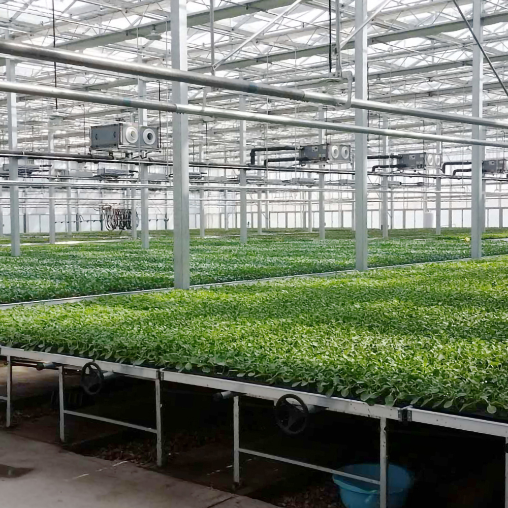物流可移动种植架 大棚用灌溉苗床 配套设施定制效