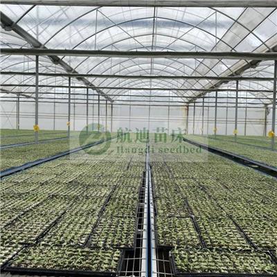 广州大棚智能育苗设备 温室苗床架 花卉育苗种植 实体厂家