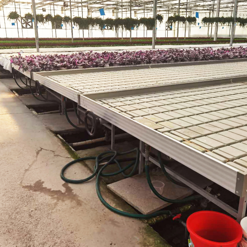 大跨度阳光温室 蔬菜种植苗床 防紫外线蓝光潮汐苗床
