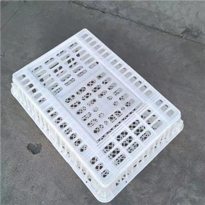 塑料鸡笼规格 福德塑料鸡筐 山东塑料鸡笼生产厂家