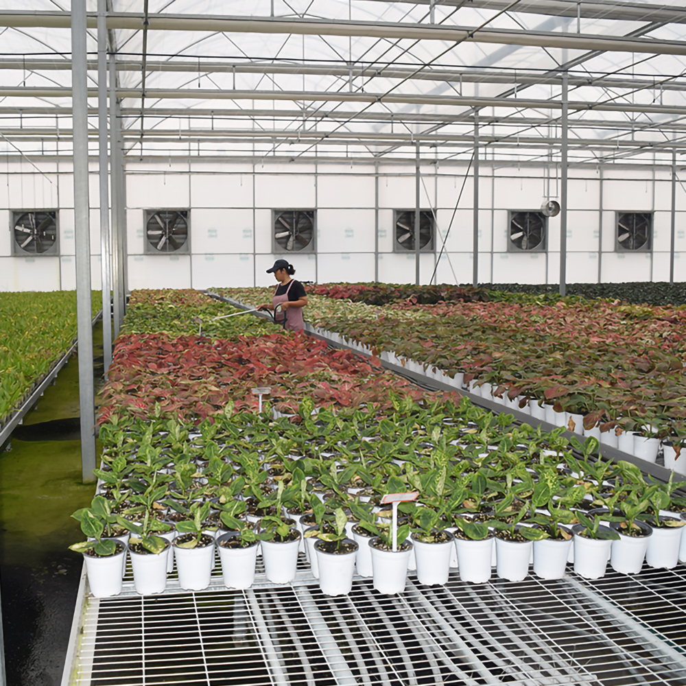 温室设施花卉移动苗床 经济实用 可按尺寸定制
