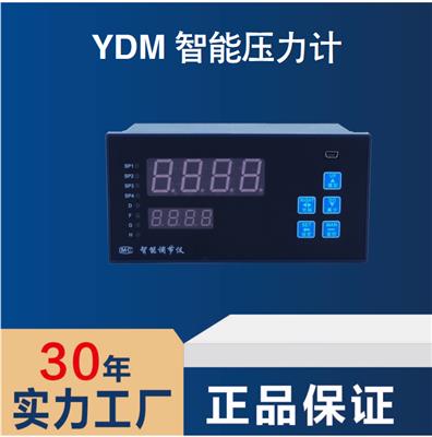 YDM-121A智能压力计 压力输入 变送输出 数码显示 测量精确