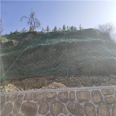 边坡防护网生产厂家 施工简单方便 能较好地固定山体