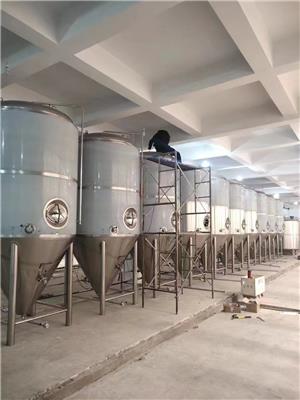 史密力维2吨酒厂精酿啤酒设备 大型精酿啤酒设备源头厂家