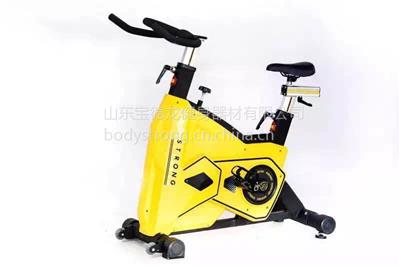 山东宝德龙FB-5817 动感单车健身房**室内健身车自行车商用家用健身器材