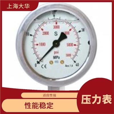 YN-60耐震压力表 自动待机 抗冲击 可清零