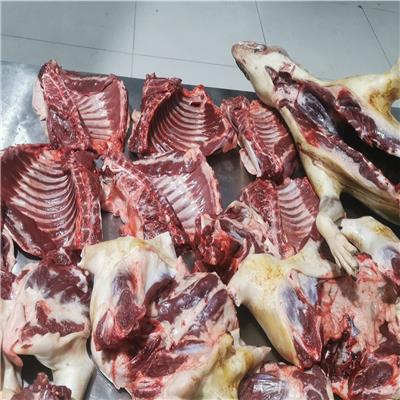 2023 江西省纯土狗肉批发商城新鲜狗肉供应
