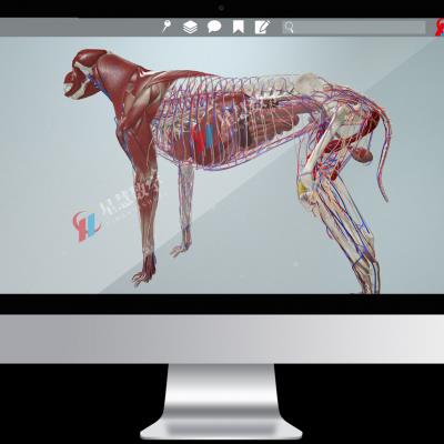 动物3D实训室 兽医学虚拟实验室