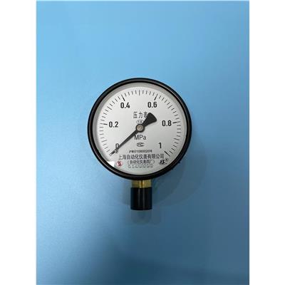Y-250Z 水压压力表 上海自动化仪表有限公司