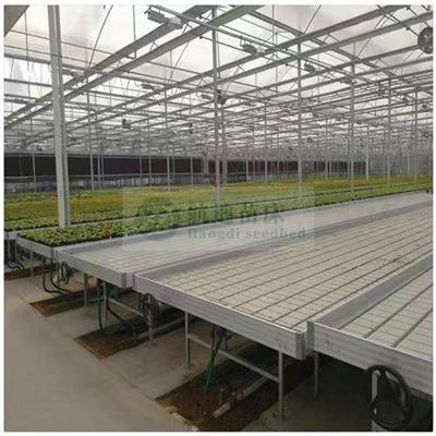 温室自动潮汐灌溉苗床 水培育苗床 新式种植架支持定制