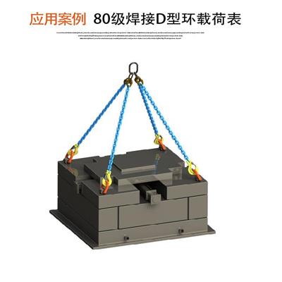 天津进口焊接吊环 焊接D型环载荷表