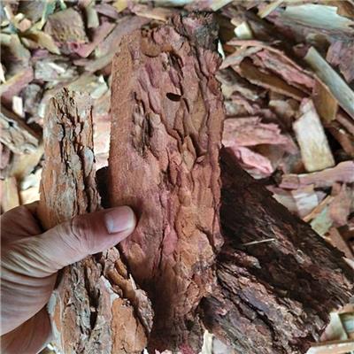 惠州松树皮生物填料厂家供应 用途广泛