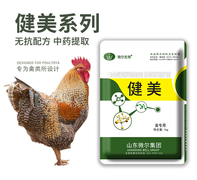 淘汰鸡如何快速增肥，用健美禽禽用增肥益生菌