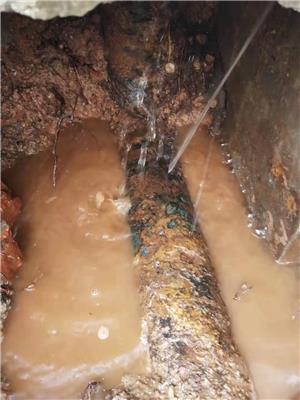 深圳市检测管道漏水服务，埋地供水探漏点，给水管探漏