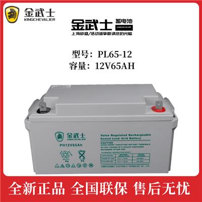 贵州金武士蓄电池PW65-12报价及参数