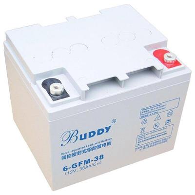 BUDDY宝迪铅酸蓄电池6-GFM-33 12V33AH直流屏配电柜 UPS电源
