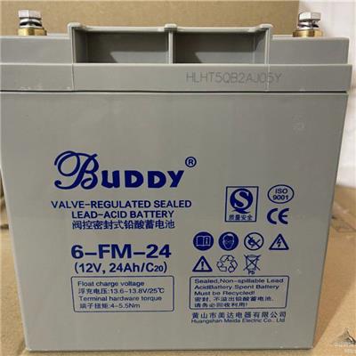 全新BUDDY宝迪蓄电池6-GFM-24 12V24AH电动轮椅卷帘门备用电源