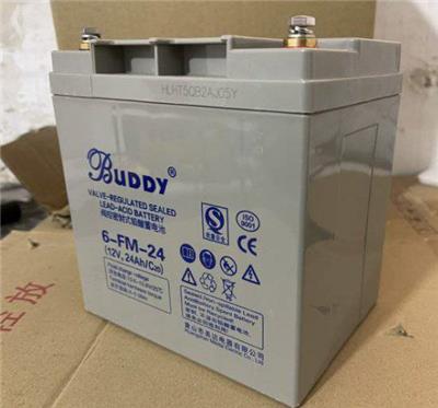 BUDDY宝迪蓄电池6-FM-7 12V7AHUPS应急储能电源
