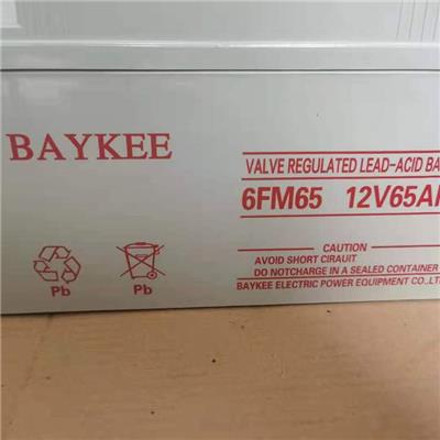 BAYKEE蓄电池6FM55 柏克12V55AH阀控密封式铅酸蓄电池 质保三年