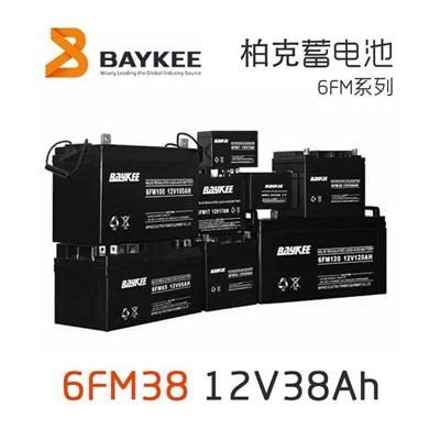 BAYKEW柏克蓄电池6FM38铅酸免维护12V38AH机房UPS电源