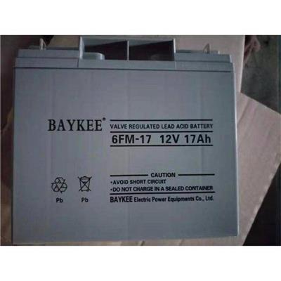 BAYKEE柏克蓄电池6FM17 12V17AH弱电机房UPS/EPS稳压电源