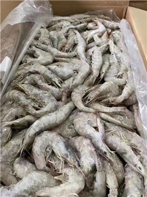 冻虾一般贸易进口清关流程及注意事项介绍