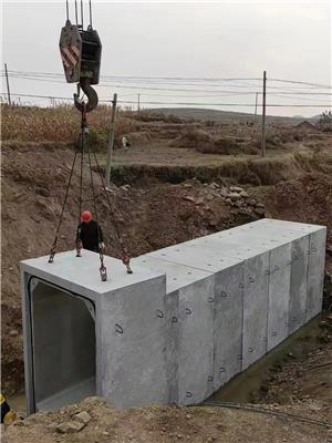 荔发供应 箱涵模具城市地下管廊钢模具预制水泥混凝土箱涵钢模具支持定制
