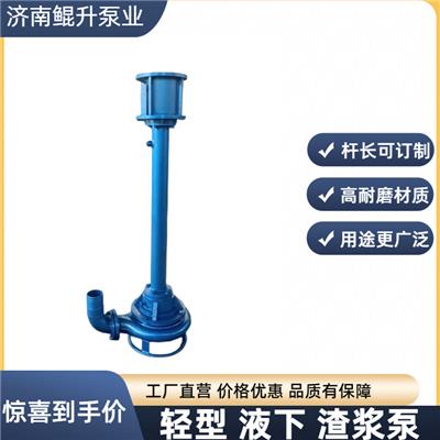 高大浓度立式排浆泵_大口径液下渣浆泵