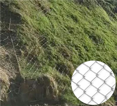 喷浆种草铁丝网 客土喷播网 边坡绿化防护勾花网