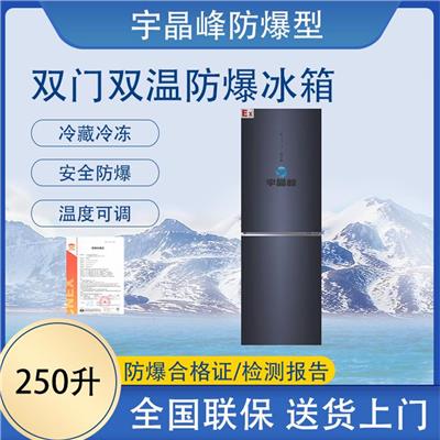 惠州双门防爆冰箱价格 结实耐用 静音设计