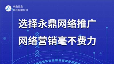 河南专业网络推广及优化 河南永鼎信息科技供应