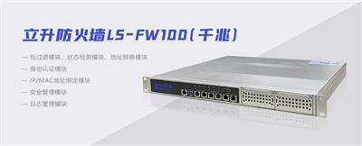 立升网络安全下一代防火墙千兆LS-FW100