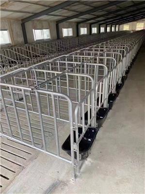 育肥猪限位栏保育栏5位10位养殖设备国标热镀锌管