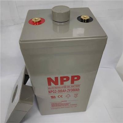 NPP耐普蓄电池NP2-100Ah 2V100AH阀控密封式铅酸免维护
