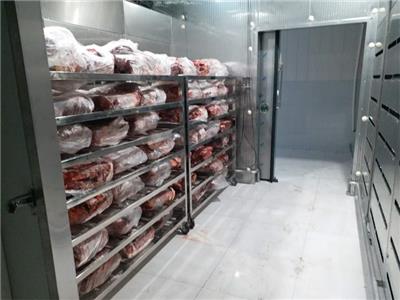 低温高湿解冻机 高湿低温解冻设备 肉类水产缓化设备