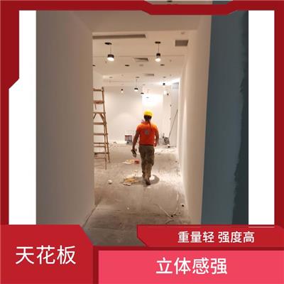 广州客厅天花板安装 颜色丰富 易安装 易清洗