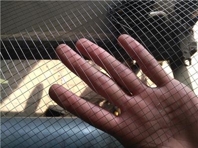 栏杆防护网 田园防护网 造型电焊网 喷浆铁丝网