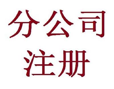 天津武清区公司注册申请理标准