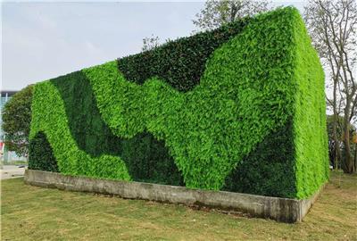 式立体绿植墙 景观 造景绿植墙