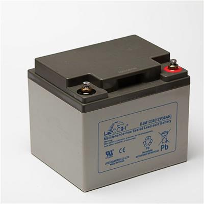 理士DJM1238 铅酸免维护蓄电池UPS不间断电源可用12V38AH应急电源电瓶