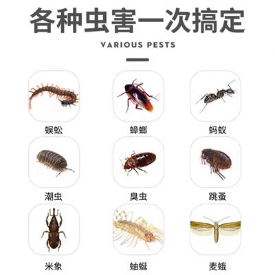餐厅上门灭蟑螂灭老鼠灭白蚁一次除净24 H 电话上海全新卫灭四害公司