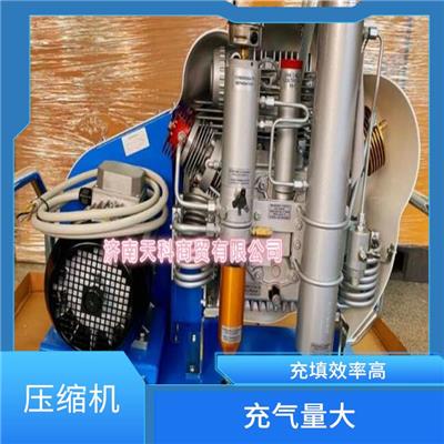 消防压缩空气填充泵MCH16/SMART 设计紧凑 维护方便