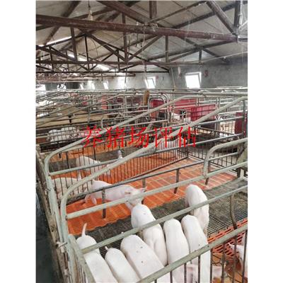 四川养猪场资产评估的法律作用 提高养殖效益和经营管理水平