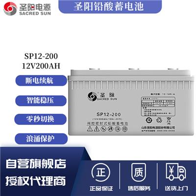 邯郸圣阳蓄电池SP12-200 12V200AH机房电池