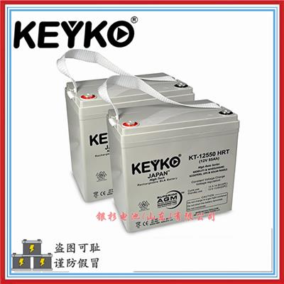 原装德国KEYKO蓄电池KT-12550 HRT应急照明系统备用12V-55Ah电池